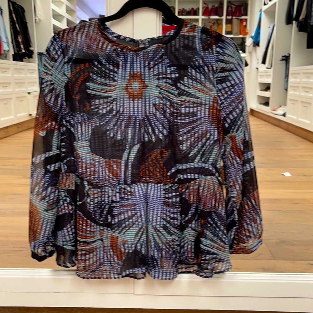 Beautiful blouse , no details , excellent condition